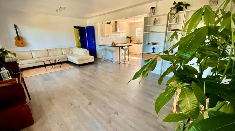 Hotel Sewa Surf House 10Min De Capbreton Hossegor Bénesse-Maremne Esterno foto