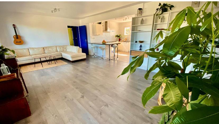 Hotel Sewa Surf House 10Min De Capbreton Hossegor Bénesse-Maremne Esterno foto